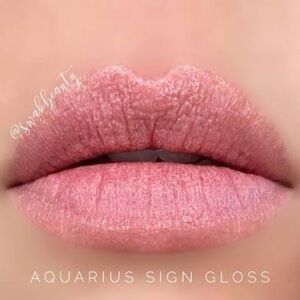 Aquarius Sign Gloss Satin Matte, LipSense New & Unopened